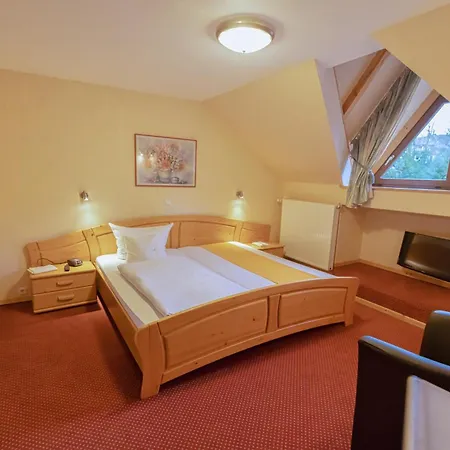 Sauerlaender Hof Πανσιόν 3*