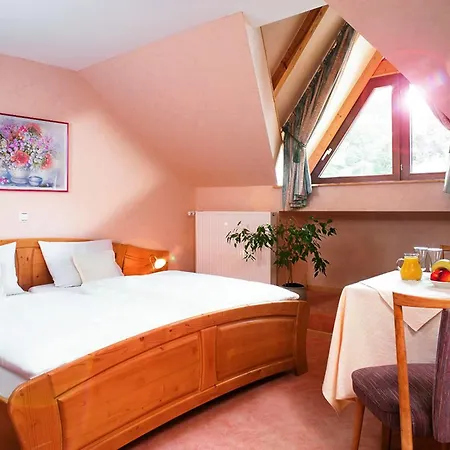 Sauerlaender Hof 3* Виллинген